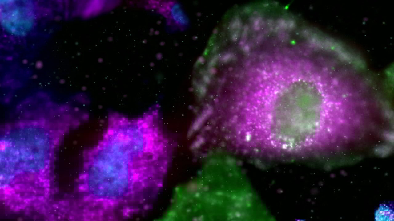 Galaxies (Between Worlds)