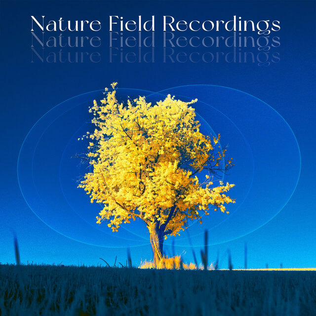Nature Field Recordings