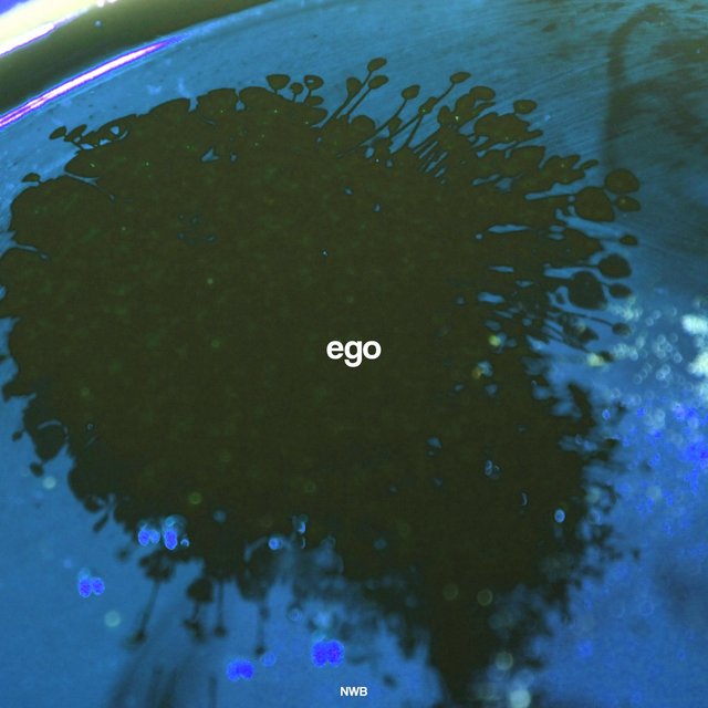 EGO