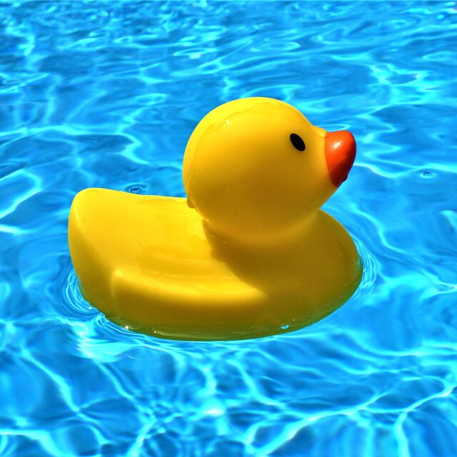 Rubber Duck Lover