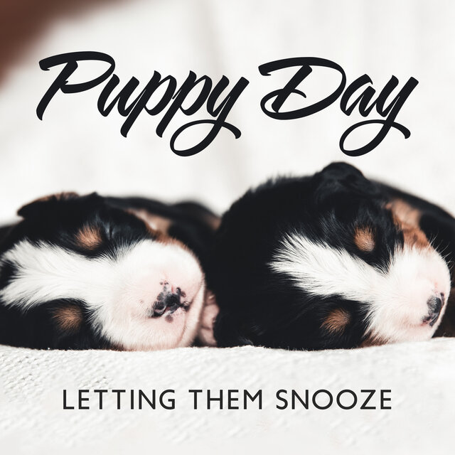 Puppy Day: Letting Them Snooze