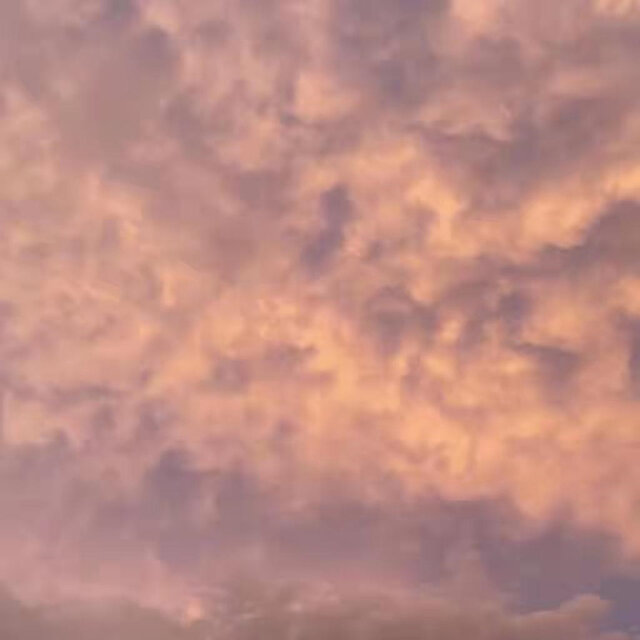 双相奔赴的情感没有障碍