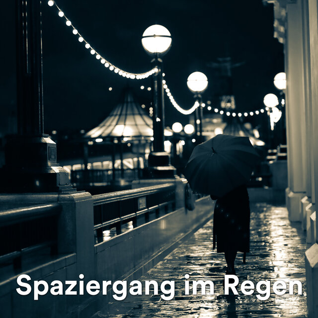 Spaziergang im Regen