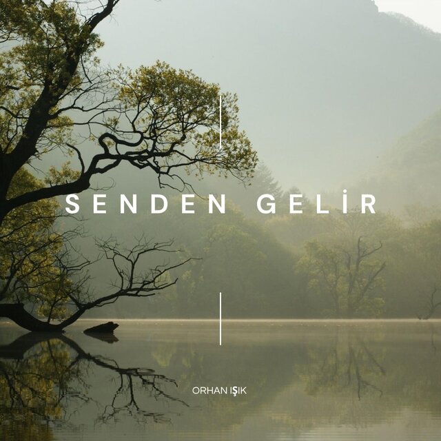Senden Gelir
