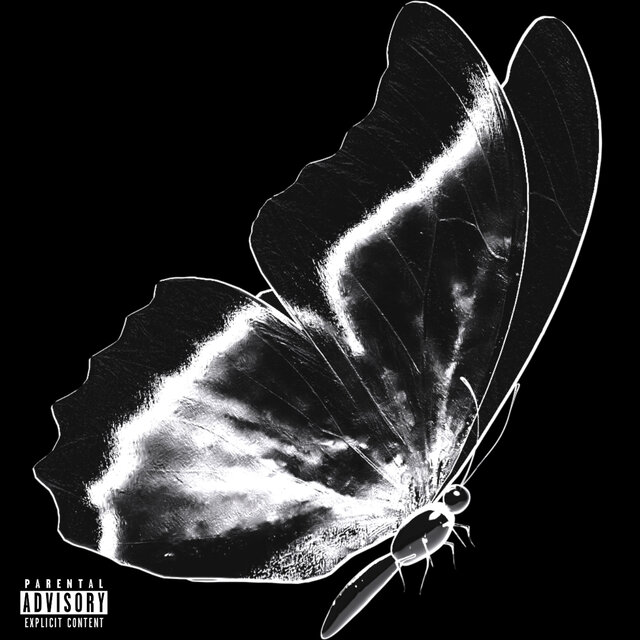 Volume 1: Delux