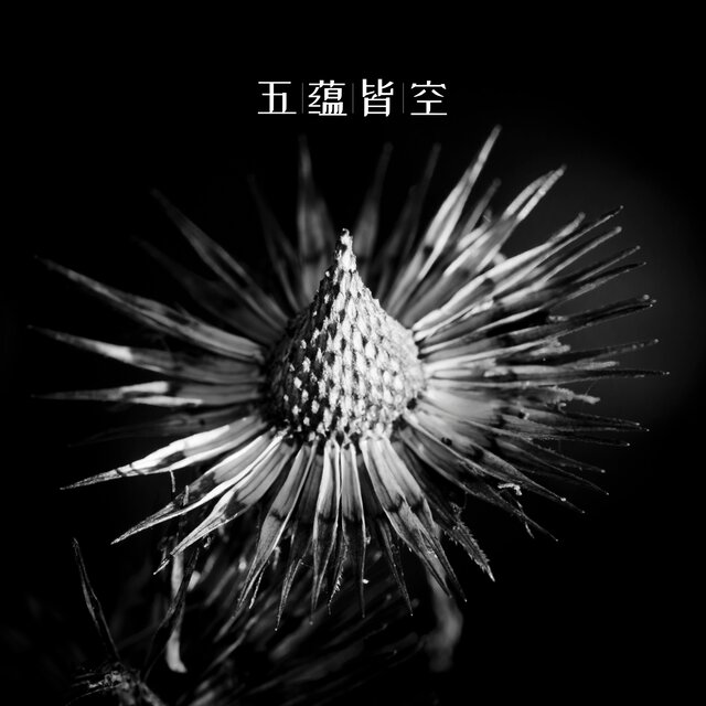 五蕴皆空