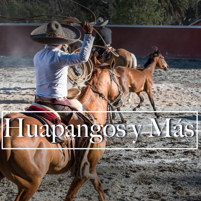 Huapangos y Más