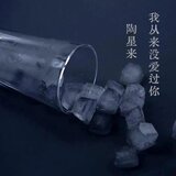 我從來沒愛過你（伴奏）