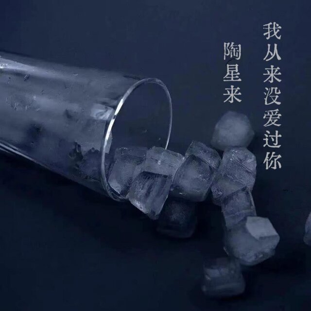 我從來沒愛過你