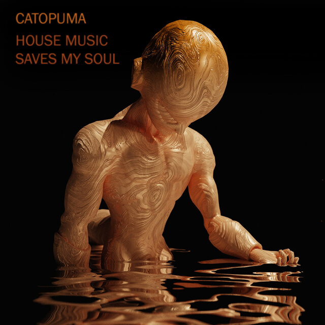 House music saves my soul