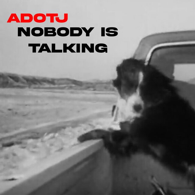 nobody is talking.