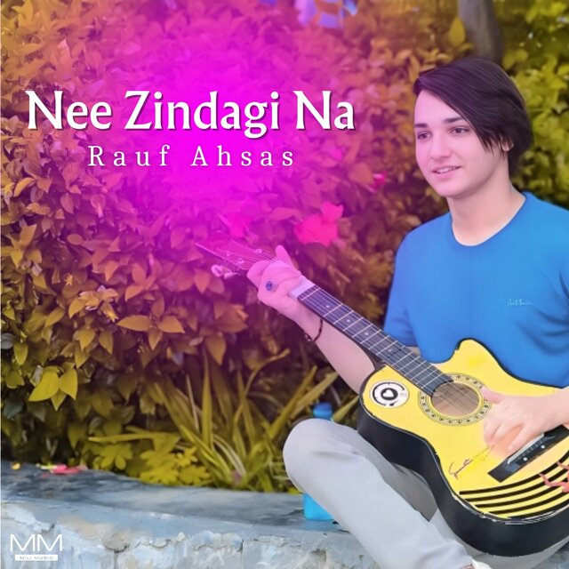 Nee Zindagi Na