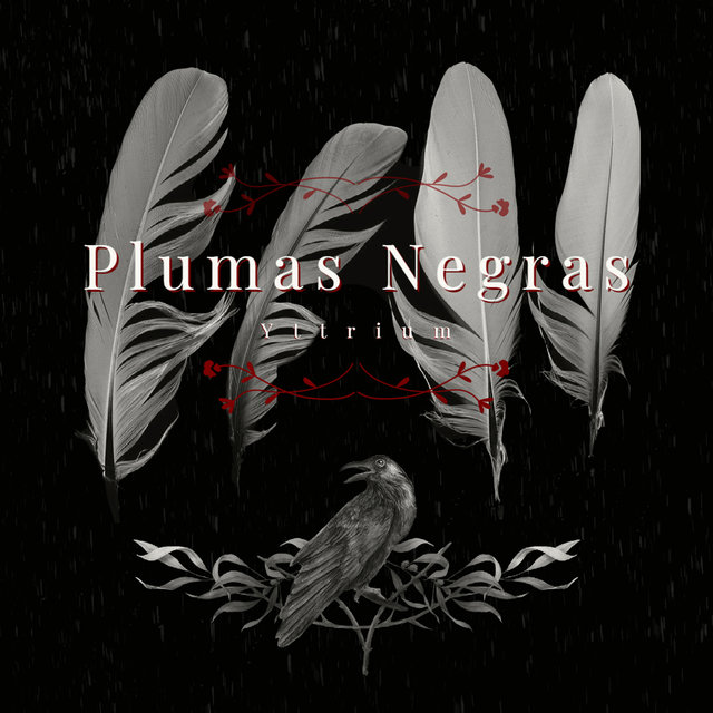 Plumas Negras