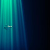 APNEA