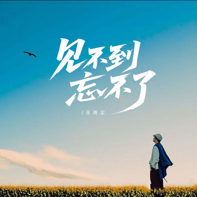 见不到忘不了