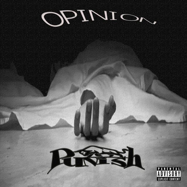 Opinion