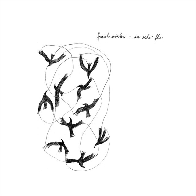 An Echo Flies