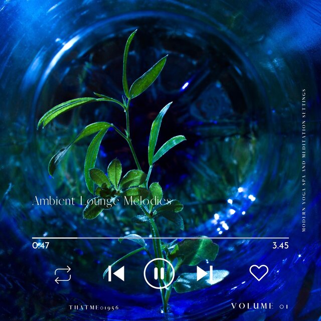Ambient Lounge Melodies - Modern Yoga Spa and Meditation Settings, Vol. 01