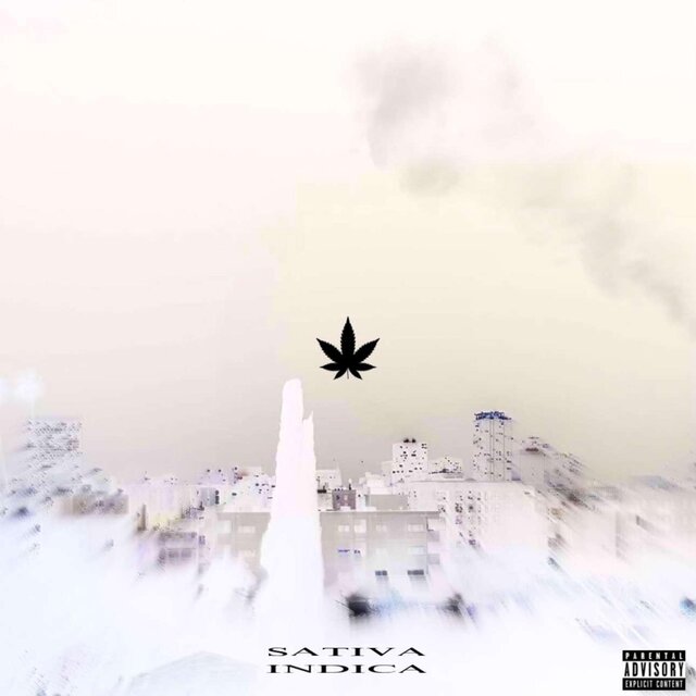 Sativa // Indica