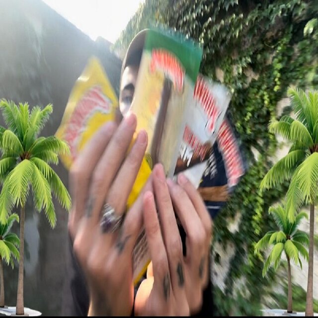 PALM TREES WOOD