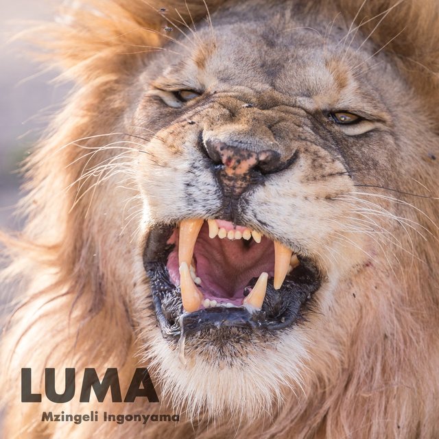 Luma
