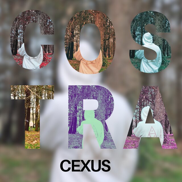 Costra