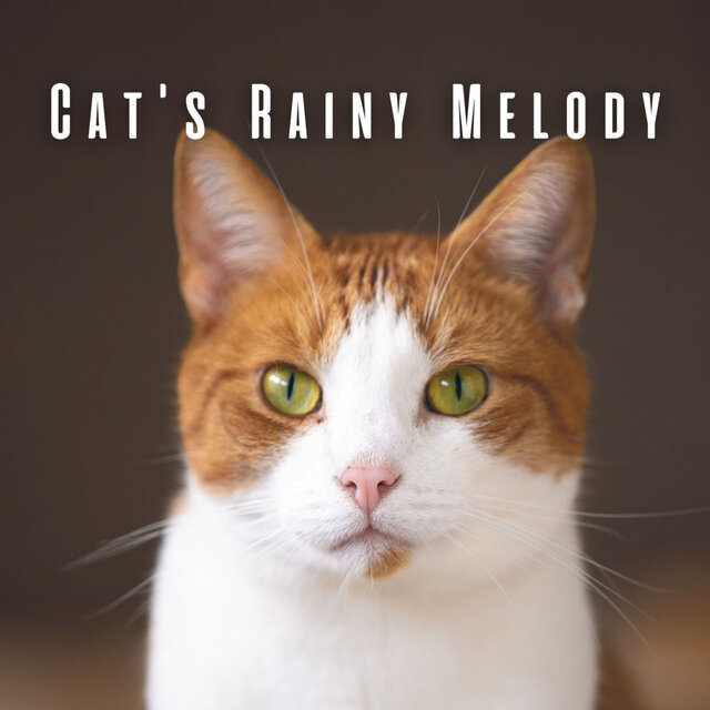 Cat's Rainy Melody: Binaural Serenity for Zen Moments