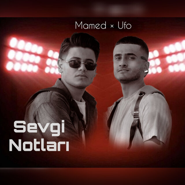 Sevgi Notları