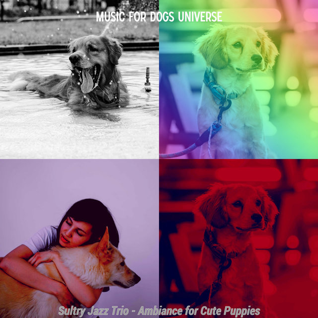 Sultry Jazz Trio - Ambiance for Cute Puppies