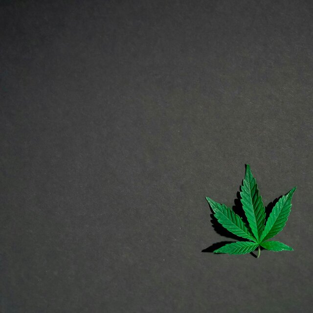 Put It Down