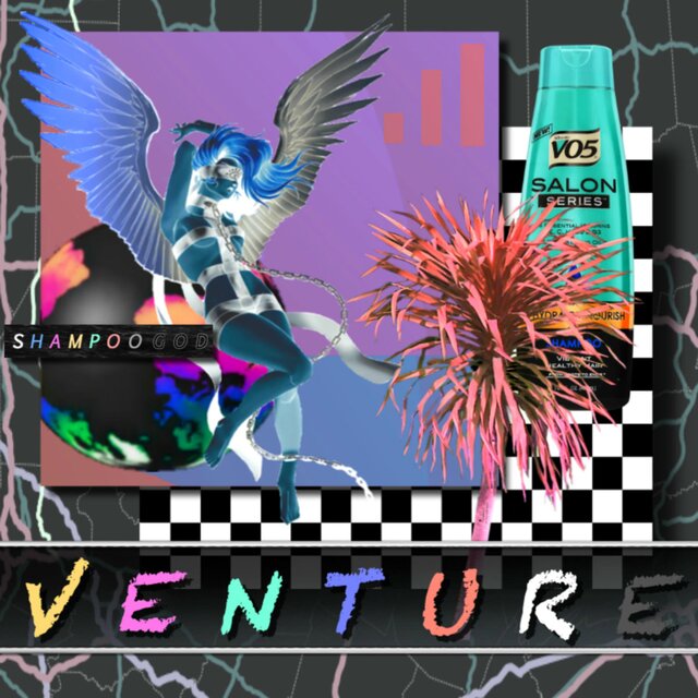 Venture