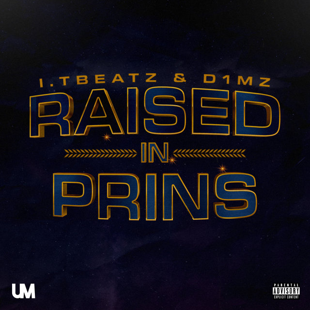 Raised In Prins