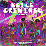 Baile Criminal (Remix)