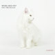 Cover art for album Kaboom by Michel Meis 4tet