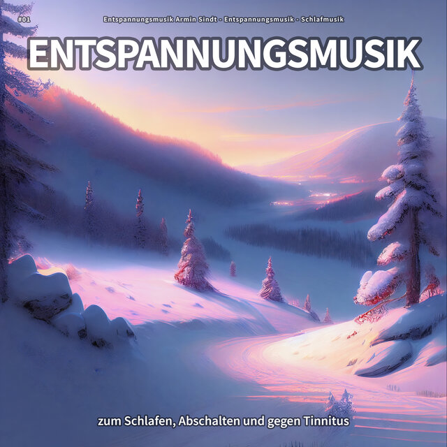 #01 Entspannungsmusik zum Schlafen, Abschalten und gegen Tinnitus