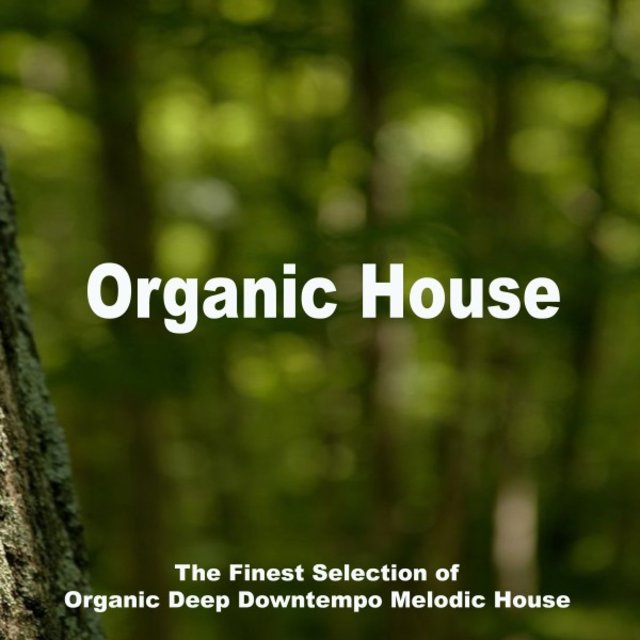Organic House 2025 (The Finest Selection of Organic Deep Downtempo Melodic House)