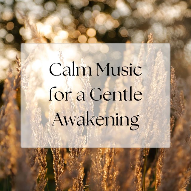 Calm Music for a Gentle Awakening