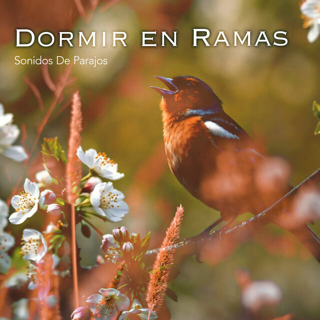 Dormir en Ramas