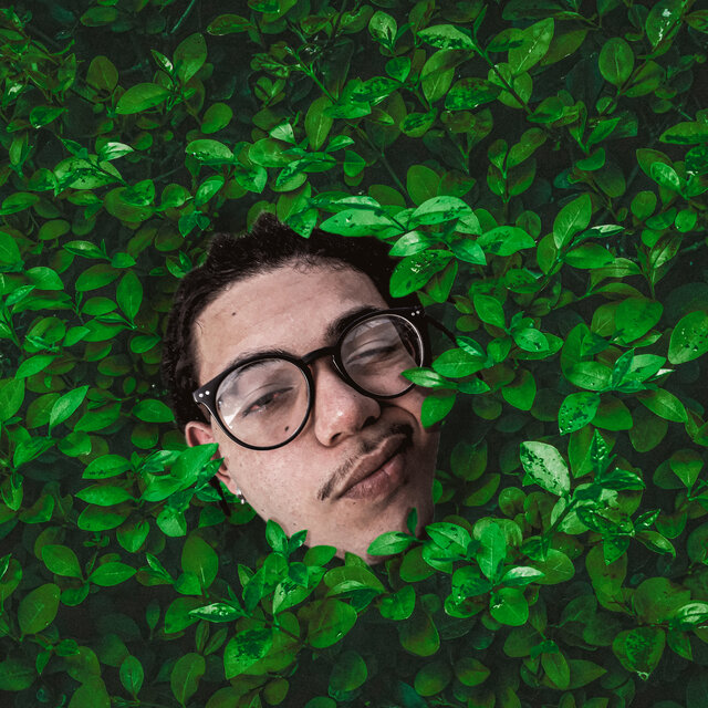 Chá Matt