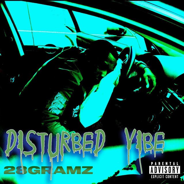 Disturbed Vibe