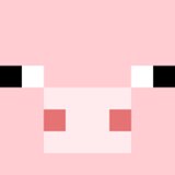 The Minecraft Pig