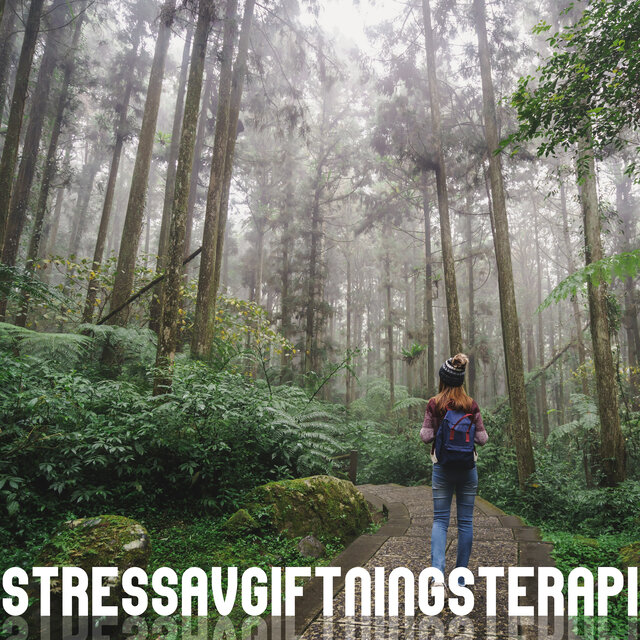 Stressavgiftningsterapi: Lugna ner Dig själv: Stressavslappning: Sinnesfrid, Lugna ner Dig