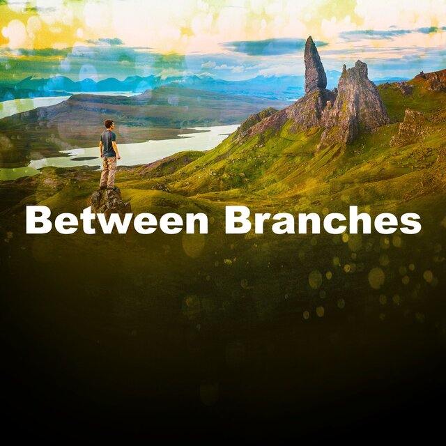 Between Branches