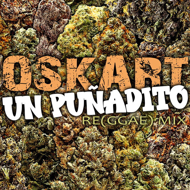 Un Puñadito (Remix)