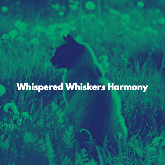 Whispered Whiskers Harmony