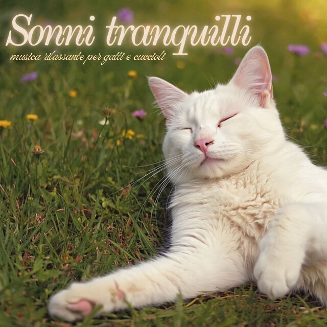 Sonni tranquilli: Suoni calmanti e musica rilassante per gatti e cuccioli