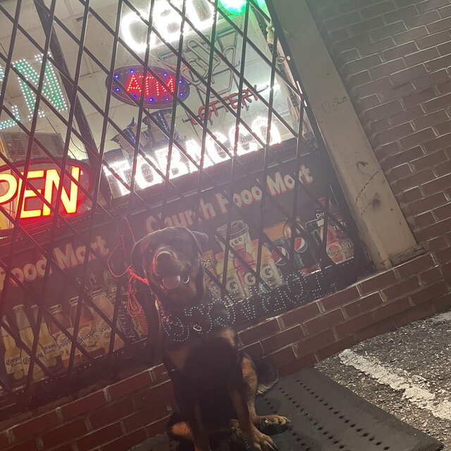 26DoubleO: Dog Shxt