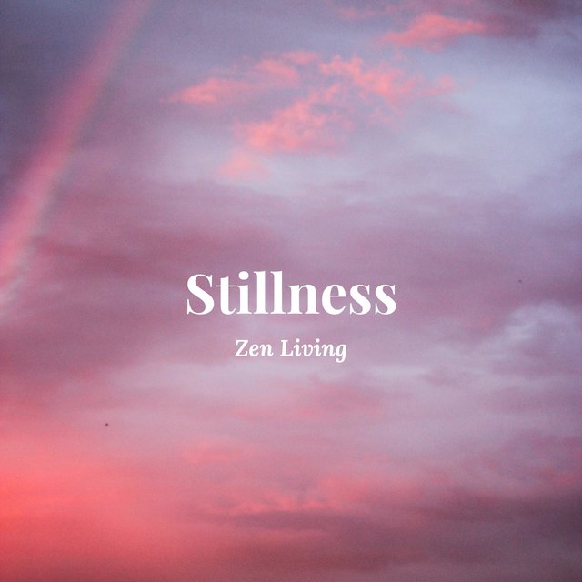 Stillness