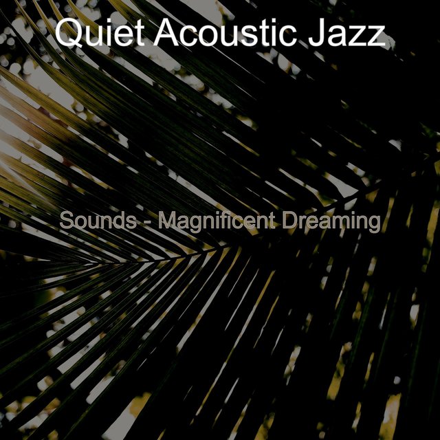Sounds - Magnificent Dreaming