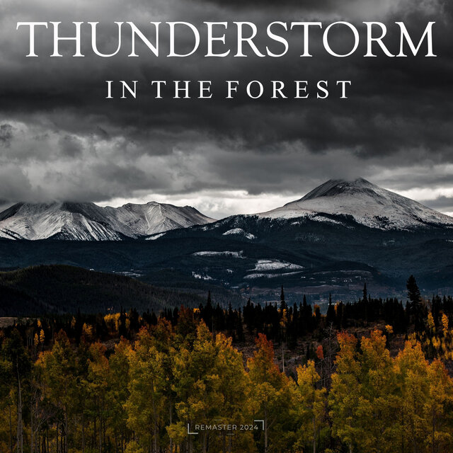 Thunderstorm in the Forest (2024 Remaster)